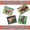 Kackende Tiere Adventskalender: Tiere furzen und kacken, lustiges Malbuch - Geschenke für Männer Madchen Menschen Erwachsene Frauen Kinder Geburtstag Weihnachten