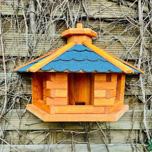 DARLUX handgefertigtes Wand Vogelfutterhaus XL Vogelhaus wetterfest lasiertes Holz Futterstelle Hängend Braun Bitumdach Blau
