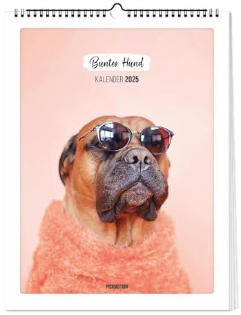 Wandkalender 2025 - Bunter Hund