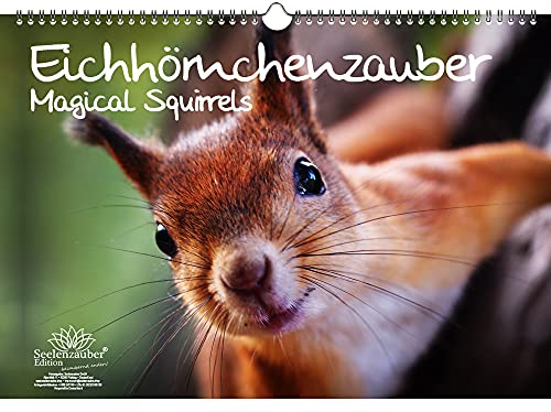 Eichhörnchenzauber DIN A3 - Immerwährender Kalender Eichhörnchen - Seelenzauber