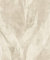 Rasch Tapeten Vliestapete (Industrial) Beige 10,05 m x 0,53 m Concrete 520033