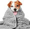 LaSyL Gewichtete Hundedecken Premium weicher Minky Stoff Entspannung & Beruhigung & Donner für Haustiere und Katzen Verwendung im Auto Bett Couch Dunkelgrau waschbar L 1016 cm L x 1194 cm B