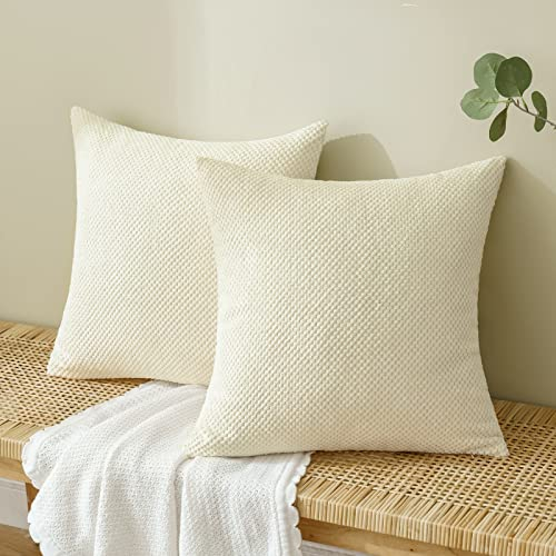 EMEMA Kordsamt Kissenbezug Dekorative Granulat Sofakissen Dekokissen Kissenbezüge Kissenhülle Couchkissen Überwurf Kissen Bezug Zierkissen für Couch Sofa Wohnzimmer 2er Set 60x60 cm Beige