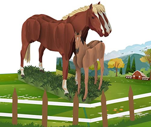MOKIO® Pop-Up Karte – Pferd mit Fohlen – 3D Grußkarte für Pferdeliebhaber zum Geburtstag, Glückwunschkarte mit Pferdemotiv
