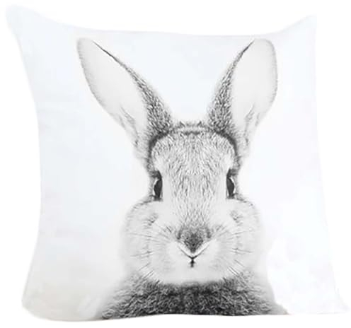 KAMACA Kissen SÜSSER HASE Flauschig gefülltes Kissen mit Reißverschluss 40x40 cm mit Füllung Osterhase Hasen Motiv für Hasenliebhaber Ostern (HASE 40x40 cm)