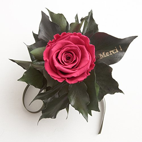 Ewige Rose konserviert Rosenstrauß mit Goldschrift Merci 3 Jahre haltbar Danksagung Gastgeschenk ROSEMARIE SCHULZ® (Pink)
