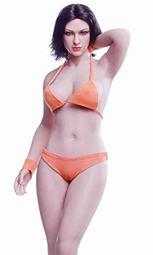 ZSMD TBLeague 12 Female Seamless Action Figures-Silicone Body, Plump Body Type-1/6 Scale Super Flexible Female Figure Dolls for Arts/Drawings/Photography (S28A (Pale))
