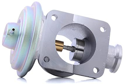 Delphi EG10464-12B1 - AGR-Ventil