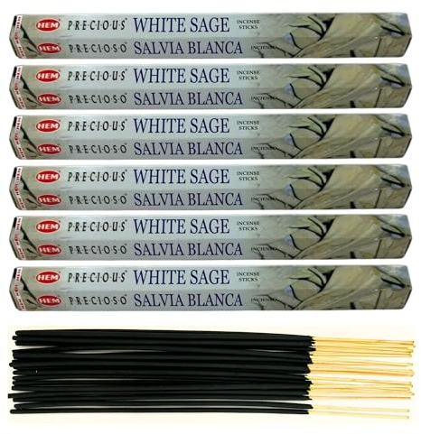 6X Räucherstäbchen Hem Verschiedene Düfte | Insgesamt 120 Sticks (Precious White Sage)