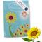HAVENHAUS Sonnenblumen Samen MADE IN GERMANY | Speziell für Kinder in schönem Design | kinderfreundliche Anleitung auf Rückseite | Sonnenblumensamen | Sonnenblumen Samen groß XXL