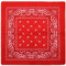 Multifunktion Bandana-Tuch Nickitücher Halstuch Kopftuch Zimmermanns- und Richtfesttücher 100% Baumwolle / Cotton Mund-Nasen-Bedeckung Biker Rad Outdoor Schweißtuch Stirnbänder (Paisley -10#)