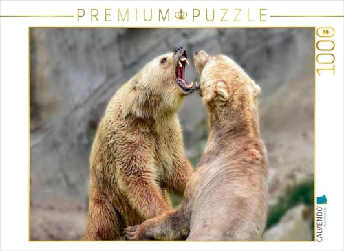 CALVENDO Puzzle Bären | 1000 Teile Lege-Größe 64 x 48 cm Foto-Puzzle für glückliche Stunden