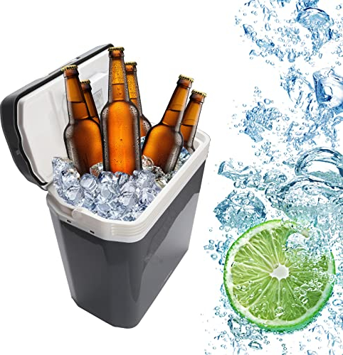 Randaco Kühlbox 32 Liter, Mini-Kühlschrank 12V 230V WÄRMT & KÜHLT mit Tragegriff, Thermobox für Auto, Boot, Camping, Reisemobil und Steckdose, A++ mit ECO-Modus, Grau