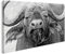 Prime Bild auf Leinwand Büffel Bison Schwarz Weiss Poster, Leinwandbild, Wandbilder