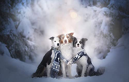 Animal Crossing Puzzle 1000 Teile Schnee-Border-Collie-Hund Intelligenz-Stressabbau-Spiel 52 x 38 cm