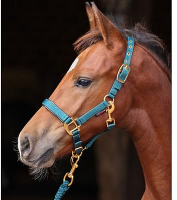 Brama West Halfter Pferd Golden Line Pferdehalfter mit Goldenen Beschlägen (Grün, Foal)