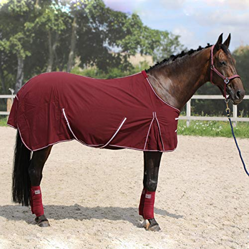 York Stalldecke Transportdecke Baumwolle Torrone Outdoordecke weinrot (125 cm)
