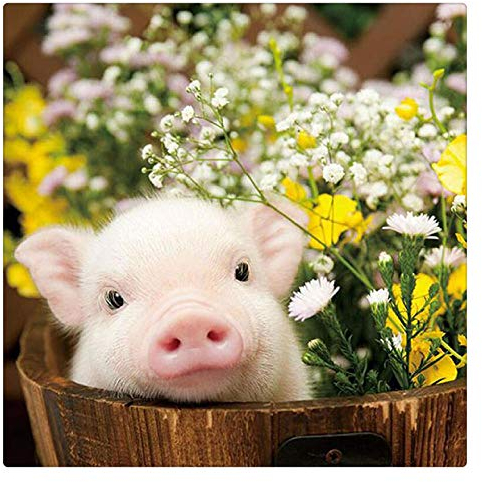 Puzzle 1500 Teile,Holzpuzzle,Puzzle Für Erwachsene,Impossible Puzzle - Schweinchen Unter Den Blumen
