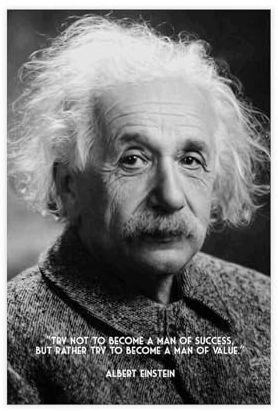 OWNPET Albert Einstein Werte Leinwand Poster Wandkunst Dekor Druck Bild Gemälde für Wohnzimmer Schlafzimmer Dekoration ungerahmt 30 x 45 cm