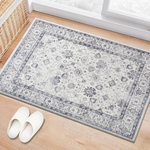 BedLooms Washable Door Mats Indoor & Outdoor - Non-Slippery Heavy Duty Front Door Mat - Stylish & Perfect Dust Grabbing Doormats - Super Absorbent Entrance Mat (Serene, 40cm x 60cm)