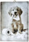 KUSTOM ART Bild Serie Tiere Einrichtung Toilette Welpe Hund Golden Retriever mit Toilettenpapier Druck auf Holz 25 x 18 cm