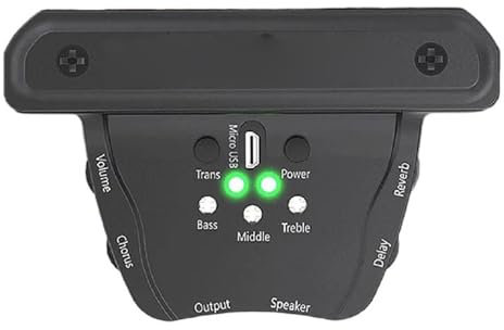 Micro magnétique pour rosace de guitare acoustique Micros pour guitare acoustique débutant