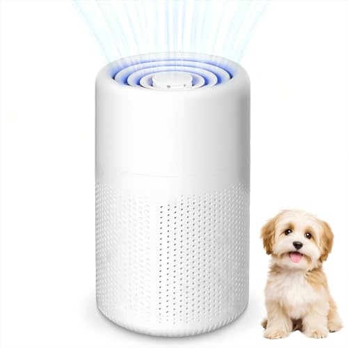HEPA Air Purifier, 5W, USB Powered, Portable | Fights Mould, Pet Dander, Dust, Aromatherapy Diffuser, Night Light, Energy Saving, Ideal for Bedroom, Office