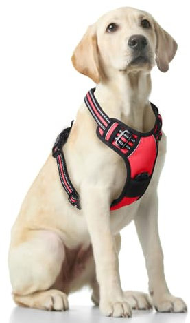 Funfox Hundegeschirr für Mittelgroße Anti Zug Brustgeschirr Einstellbar Geschirrset Mittlere Hunde No Pull Geschirr Hund Antiziehgeschirr für Grosse Hunde Atmungsaktiv Dog Harness Rot M