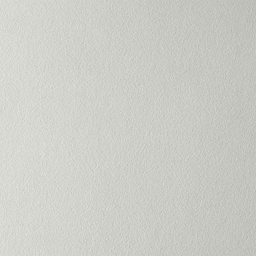 2 Rouleaux 30m² de Non-tissé en Fibres de Verre 250g à Peindre liant spécial