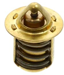 Kühler Thermostat Kühlwasser passend für Aprilia MX RS SR, Benelli 491 K2, Beta RR, CPI SM SX, MBK Nitro, Yamaha Aerox, TZR, Speedfight 1 2