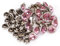 Diamant Goujons Sac vêtements décoration pour Cuir Artisanat Bricolage(#2) 50 Ensembles 8 MM Rivets Cristal Rivet Tools Rivet Tools