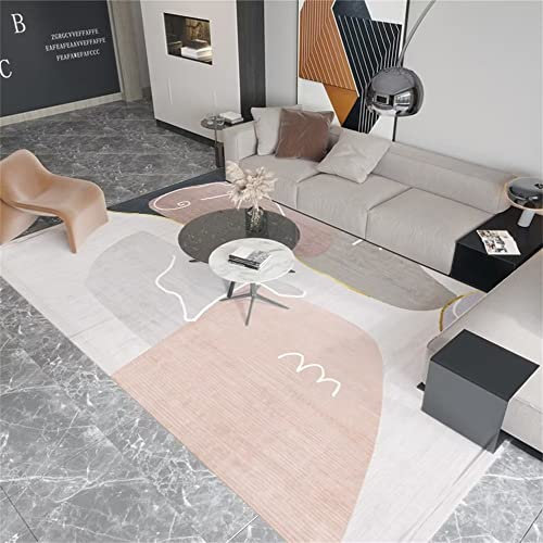 RUGMRZ Tapis D¡¯Eveil 160 x 230 cm Salon Lavable en Machine Rose D Entrée Gris série Minimaliste Moderne Couleur d'impression antidérapante résistance aux Taches