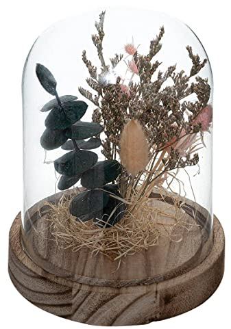 Atmosphera - Fleurs séchées sous Cloche House H17 cm - Rose