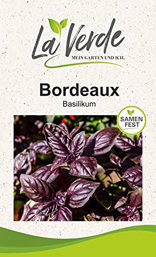 Basilikum Bordeaux Fulvio Kräutersamen