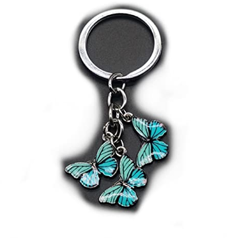 Familienkalender Schmetterlinge Schlüsselanhänger Metall silberfarben Insekt | Raupe | Geschenk | Damen Butterfly | Mädchen | Frauen | Glücksbringer | Fashion | Blume | türkis