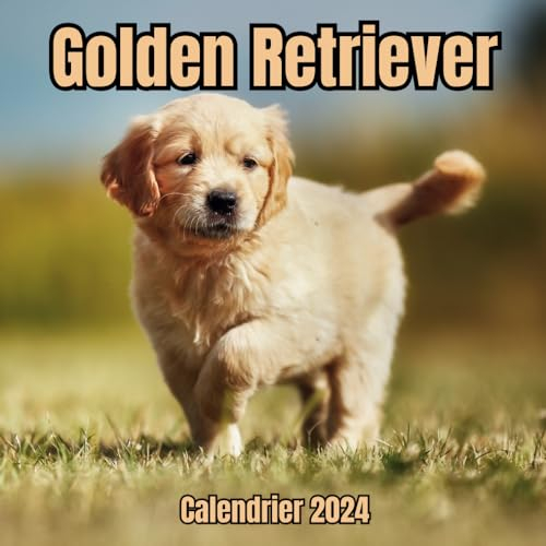 Golden Retriever Calendrier 2024: Organisateur de 14 mois , Novembre 2023 à décembre 2024, pour la maison et le bureau pour les amoureux des chien