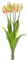 mucplants künstliche Tulpen 40cm Crispa gefranst Tulpenbündel mit 3 Tulpen und 2 Tulpenknospen real Touch (Rot)