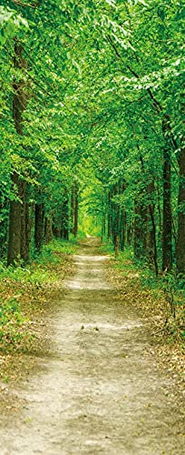 A.Monamour Türtapete Selbstklebend Türfolie Türposter 3D EIN Weg Straße Zwischen Grünen Bäumen Wald Naturlandschaft Vinyl Folie Türdeko Tapete Wandbild Türaufkleber Türtattoo 95 x 215 cm