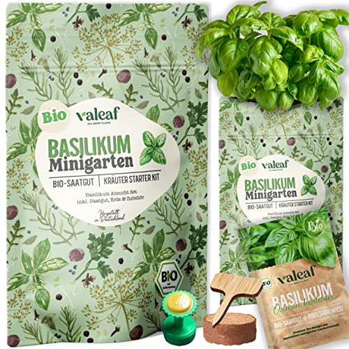 valeaf BIO Kräuter Anzuchtset Basilikum I Küchenkräuter Set f. Kräuter im Topf I Kräuter Pflanzen Set I Kräuter Anzuchtset m. Kräutersamen I Kräutersamen Basilikumsamen I Bio Samen Garten Geschenk