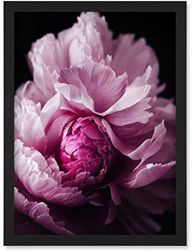 Doppelganger33 LTD Pink Peony Blooming Petals Macro Photograph Artwork Framed Wall Art Print A4
