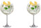 Bohemia Crystal Enebro Gin Cocktail Glasses 30oz / 850ml Pack of 2, Transparent