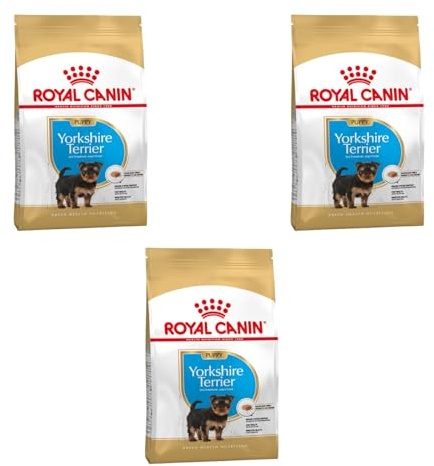 Royal Canin Yorkshire Terrier Puppy Trockenfutter | 3er Pack | 3 x 500 g | Speziell für Yorkshire Terrier Welpen bis zum 10. Monat | Unterstützung der körpereigenen Abwehrkräfte
