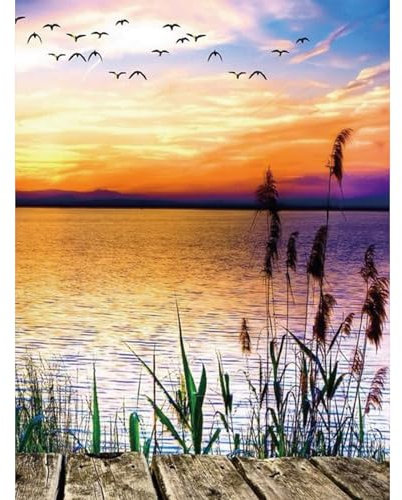 ZEELANNA Diamond Painting Bilder Diamant Painting Erwachsene Diamant Painting Bilder Erwachsene 30x40 für Home Wand Decoration (Sonnenuntergang)