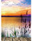 ZEELANNA Diamond Painting Bilder Diamant Painting Erwachsene Diamant Painting Bilder Erwachsene 30x40 für Home Wand Decoration (Sonnenuntergang)