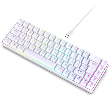 CCYLEZ Mechanische Mini-Tastatur, 68 Tasten Gaming-Tastatur mit USB-Anschluss, 18 RGB-Beleuchtungsmodi für PC und Laptop, Russisch-Englisch Dual Language (Weiß)