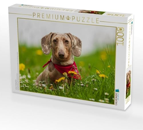 CALVENDO Puzzle Auf der Frühlingswiese | 1000 Teile Lege-Größe 64 x 48 cm Foto-Puzzle für glückliche Stunden