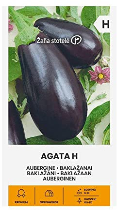 Zalia stotele | SEMILLAS DE ÁGATA BERENJENA H | Semillas de hortalizas | Semillas de berenjenas | Semillas de plantas | Semillas de jardín | 1 paquete