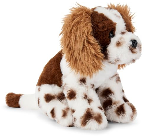 Zappi Co Chester der Springer Spaniel Plüschhund (20 cm) - Springie Hunde-Freund - Weich, Kuschelig, Recycelt - Energetischer Kuschelbegleiter