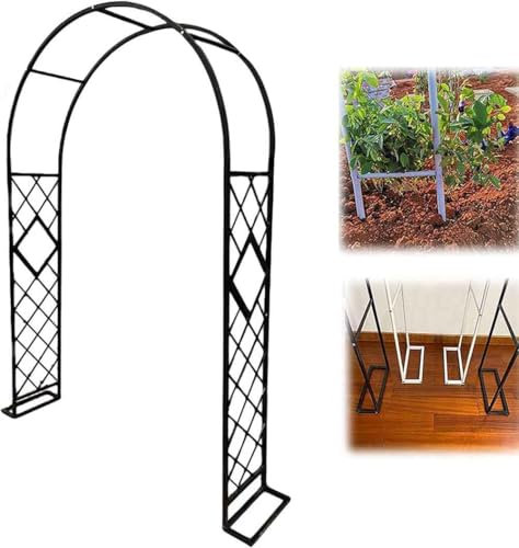 Arche de jardin en métal robuste pour plantes grimpantes avec revêtement en poudre - Arche de jardin solide et durable - Noir - Idéal pour les rosiers - 300 x 230 cm