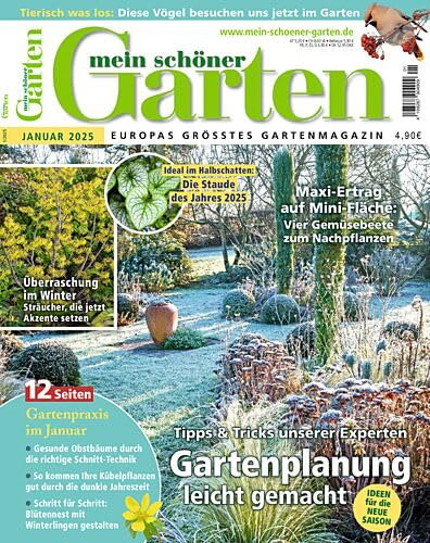 Mein schöner Garten 1/2025 Gartenplanung leicht gemacht